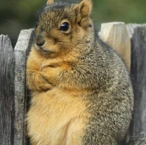 Meet your Posher, Brett